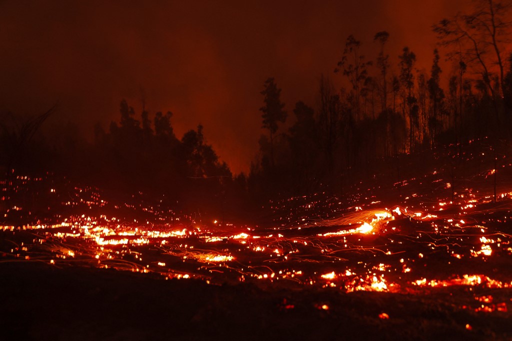 Incendios en Chile dejan 24 muertos, casi mil heridos y 800 viviendas destruidas