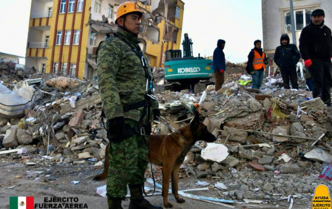 Fallece el perro rescatista mexicano Proteo en Turquía