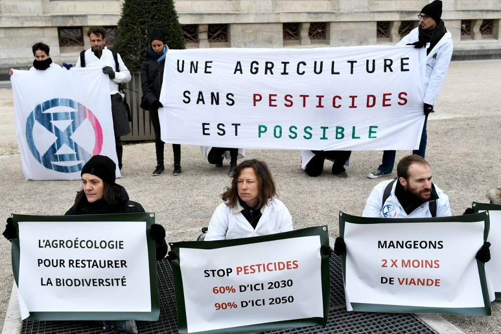 Científicos organizan en París cortejo fúnebre para los insectos