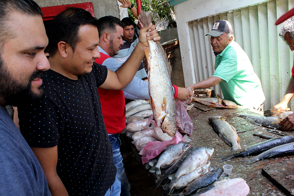 Pescado y camarones, protagonistas de la mesa en Semana Santa: estos son sus precios (+ video)