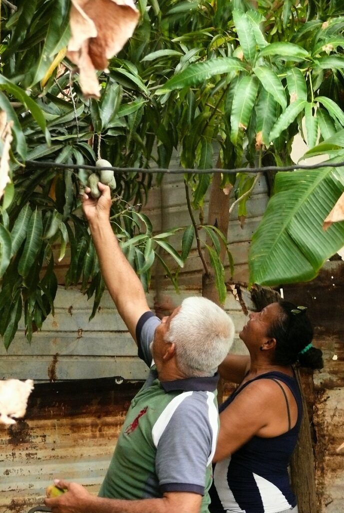 Aleida y Cristóbal