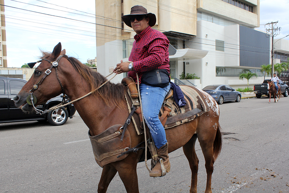 caballos