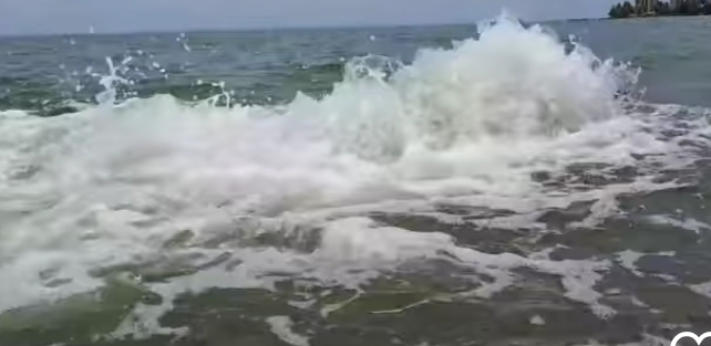 ¡Al Lago le pasa de todo!: Aparece extraño chorro de agua en la costa frente a Isla Dorada 