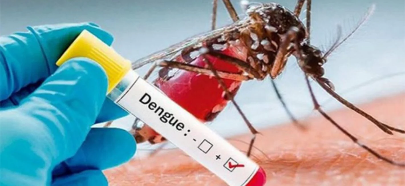 Venezuela desarrolla biocontrolador para contrarrestar proliferación del dengue