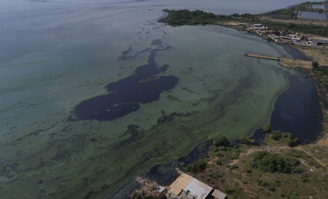 Pescadores en San Francisco se declaran en emergencia