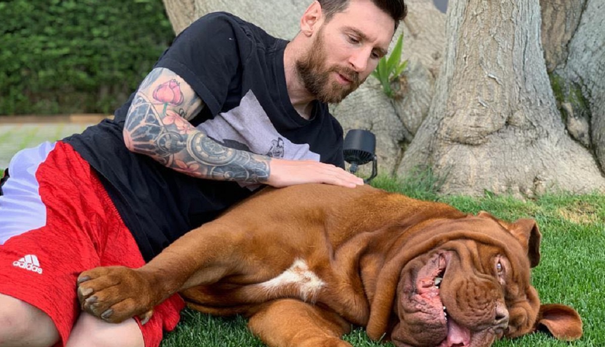 ¿Qué pasó con Hulk el perro de Messi? Por esta razón no viajó con la familia a Miami