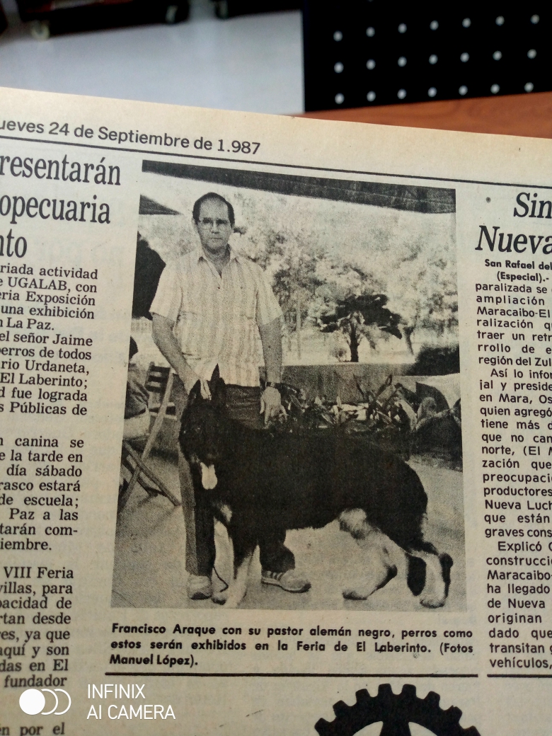 Verdadera rareza: Un pastor alemán negro