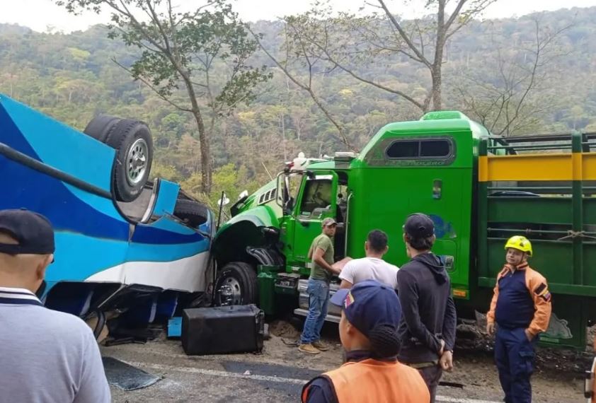 Ocho heridos dejó fuerte choque entre un autobús y una gandola cargada de ganado en la Troncal 5 de Táchira