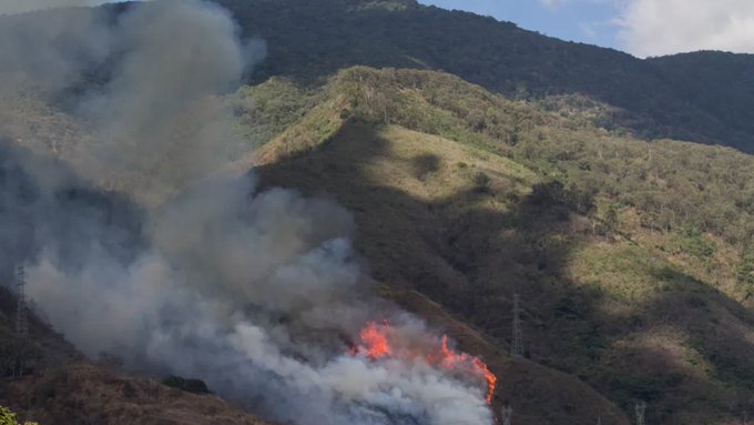 Autoridades en alerta ante incremento de incendios forestales en Venezuela