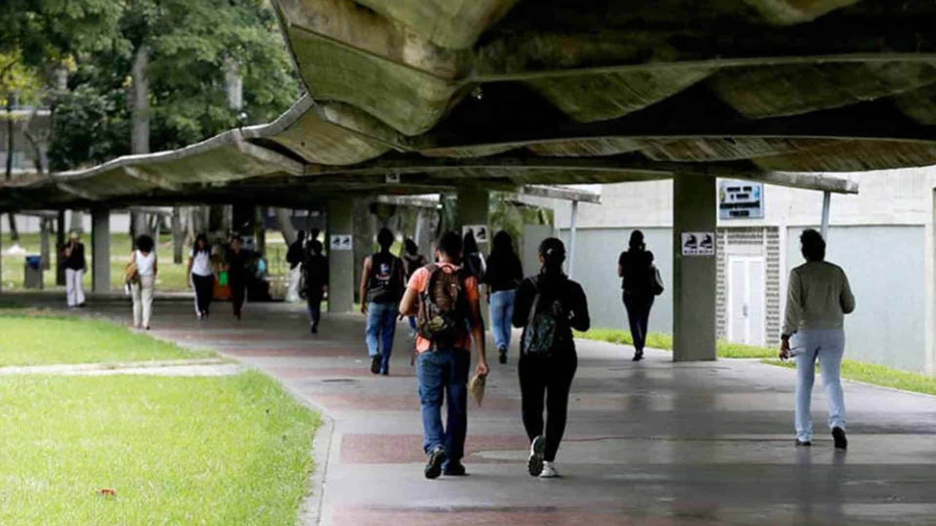 Profesores universitarios alertan sobre el impacto de salarios precarios en la calidad educativa