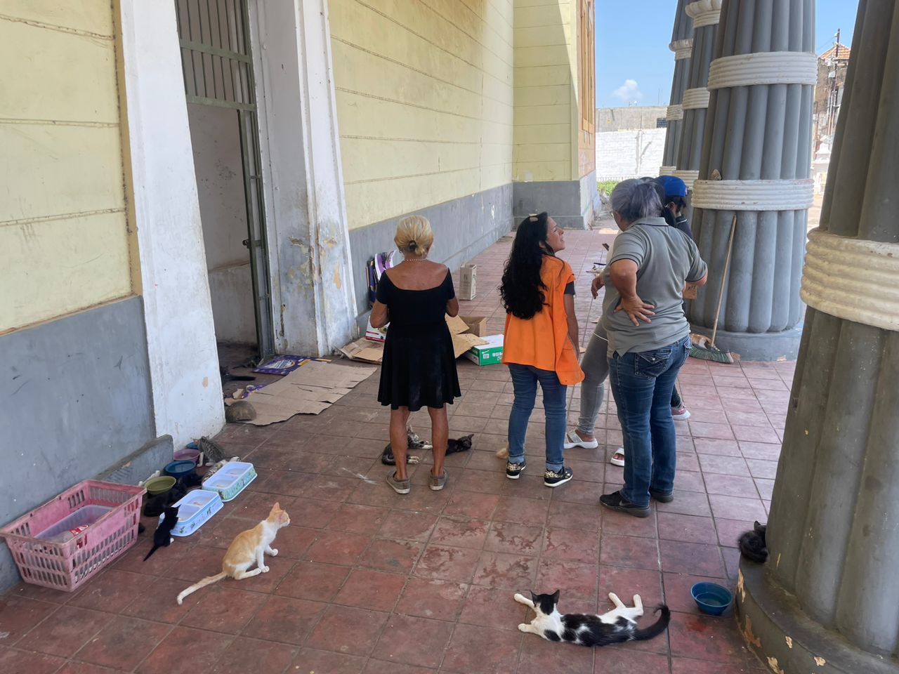 Directora de Gato Feliz rescató todos los gatos del retén de Bella Vista y pide a las autoridades seguridad en el lugar