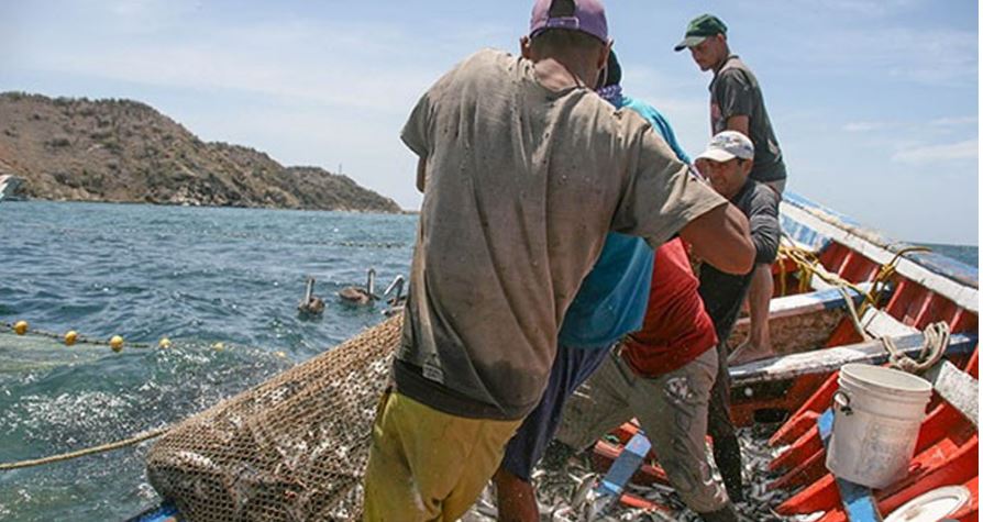 Sector acuícola alcanzó 55% de crecimiento en cuatro meses, según ministro Loyo