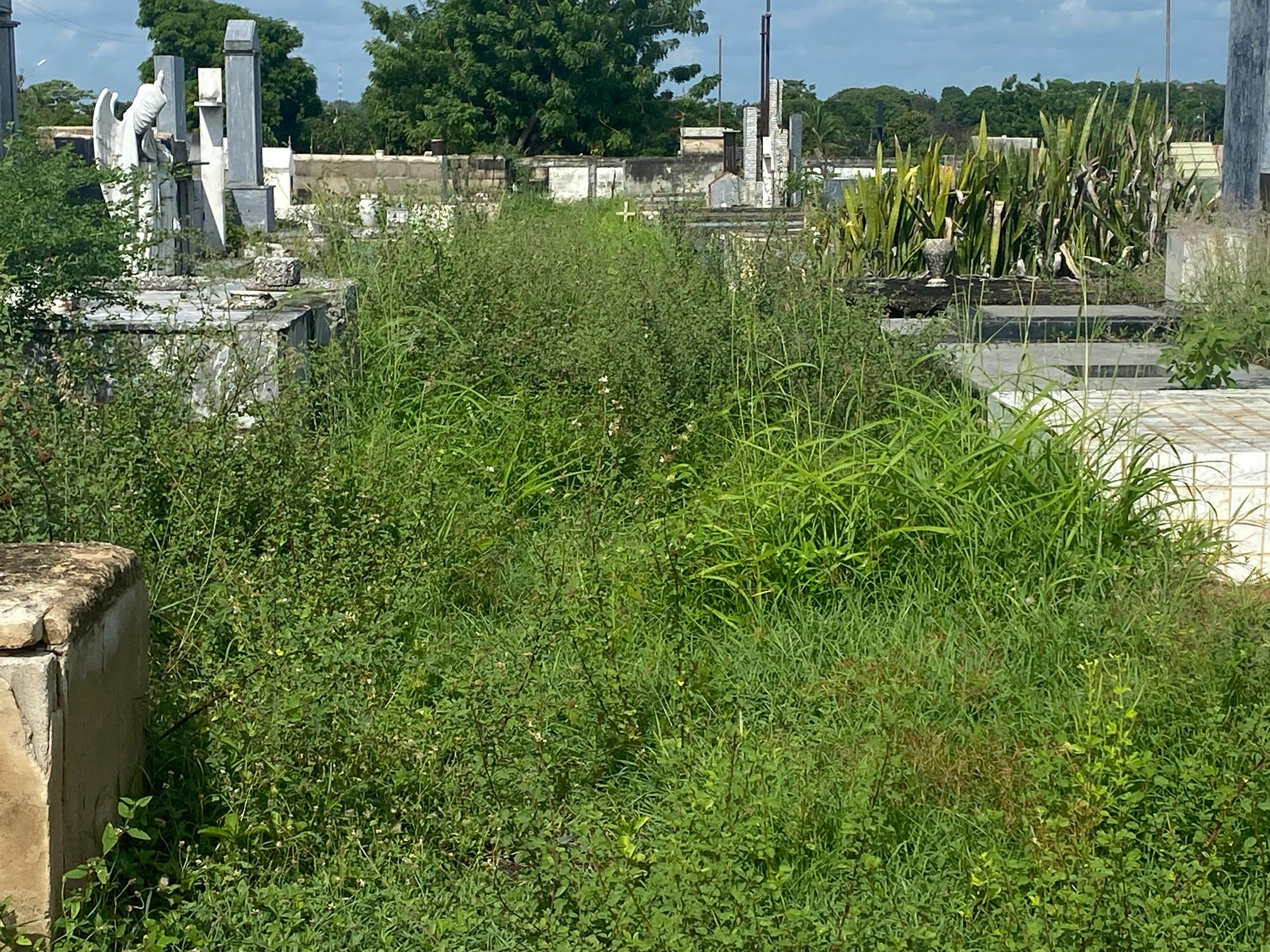 El cementerio municipal de Machiques tiene más culebras que difuntos por el abandono en que se encuentra