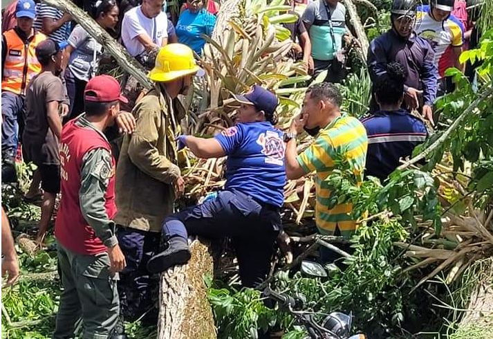 Dos muertos y varios heridos dejó la caída de un Apamate en Tucupita