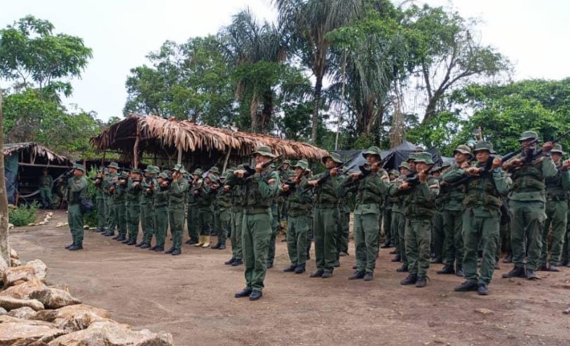 FANB incautó 20 kilos de marihuana y destruyó centro de acopio en el estado Sucre