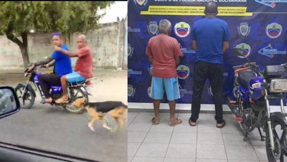 Detenidos dos hombres por maltrato animal en el Zulia