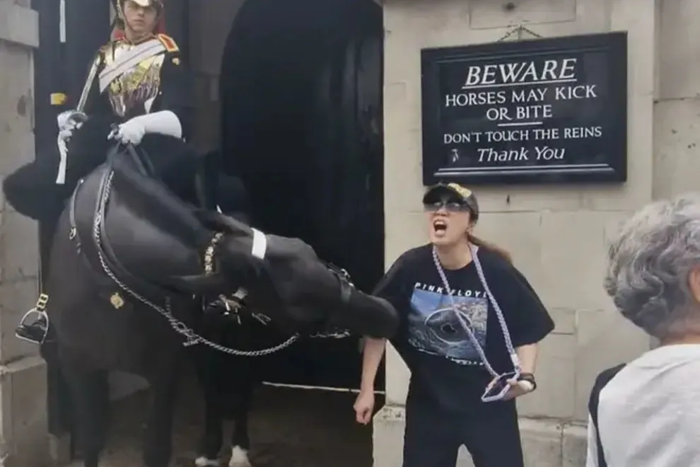 Quería una foto con un caballo de la Guardia del Rey y la mordió