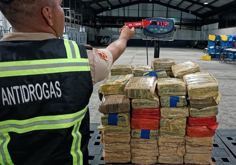 FANB incautó casi 100 kilos de marihuana en Barinas