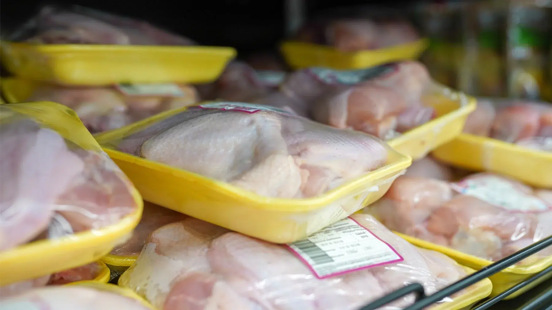 Consumo de pollo per cápita en Venezuela fue de 17,60 kilos entre enero y mayo de 2024: Fenavi