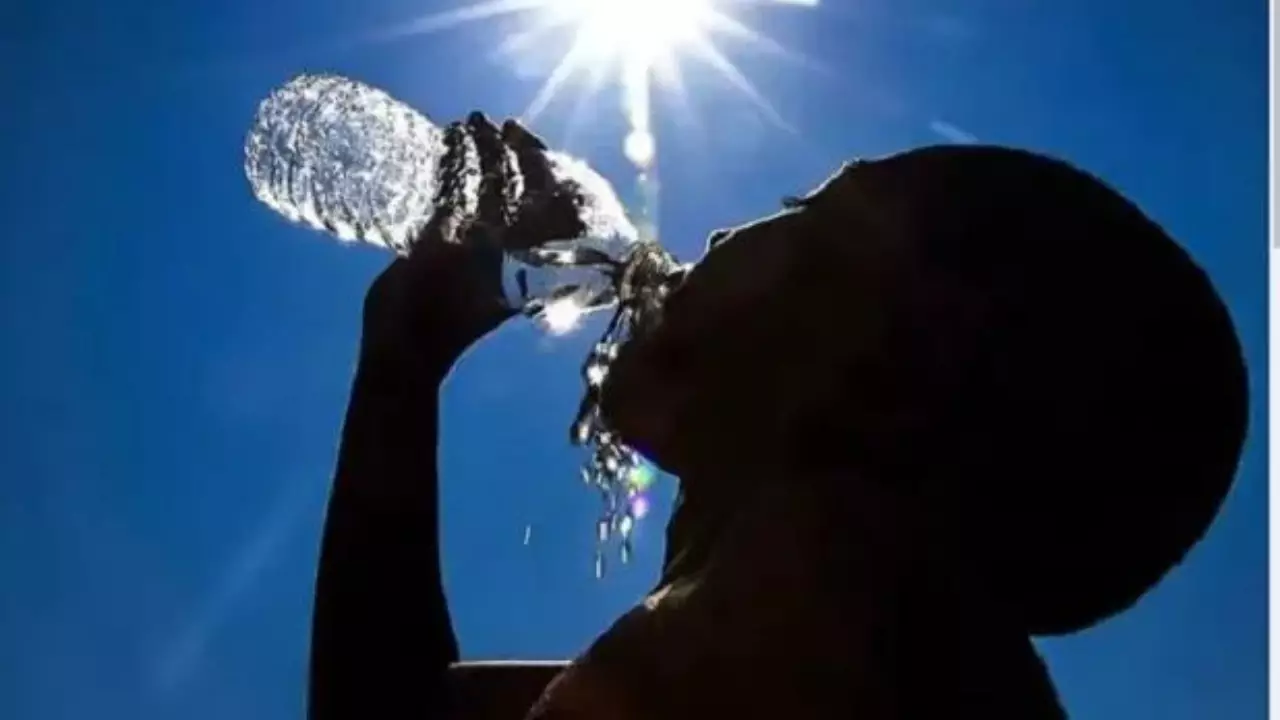 El día más caluroso en la Tierra desde que hay registros, fue el 22 de julio: OMM