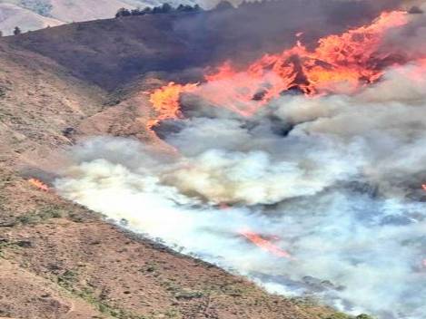 Incendio forestal consume 1.174 hectáreas en cinco días en Ecuador