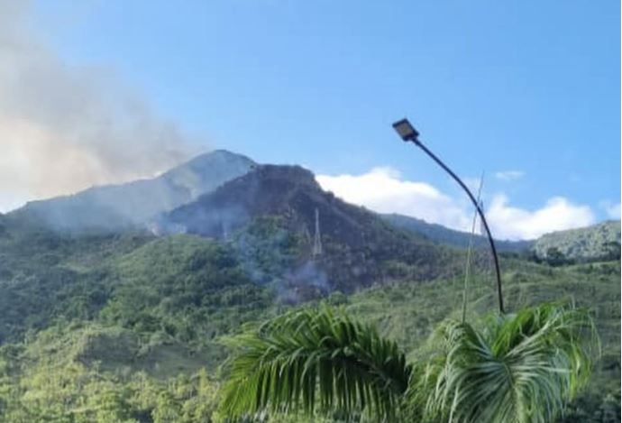 Autoridades combaten incendio forestal en el Waraira Repano