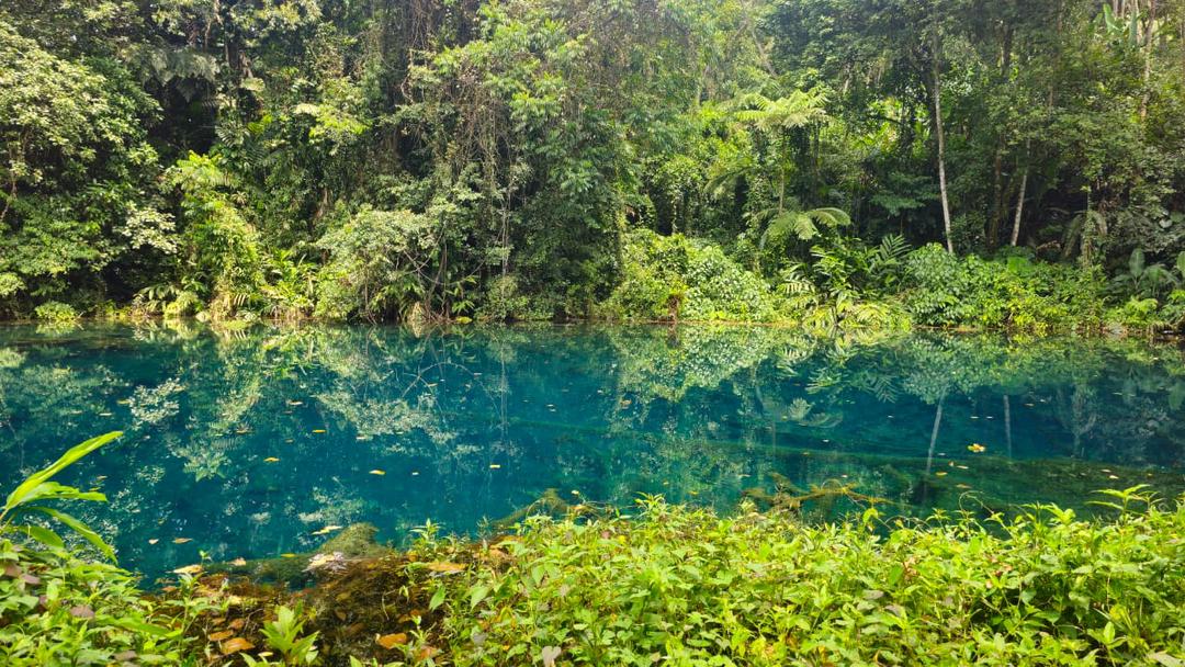 El enigmático Pozo Azul de Barinas: Un tesoro escondido en la naturaleza