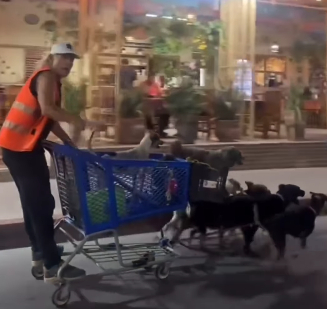 Hombre es captado en California andando en un carrito de supermercado por un grupo de perros