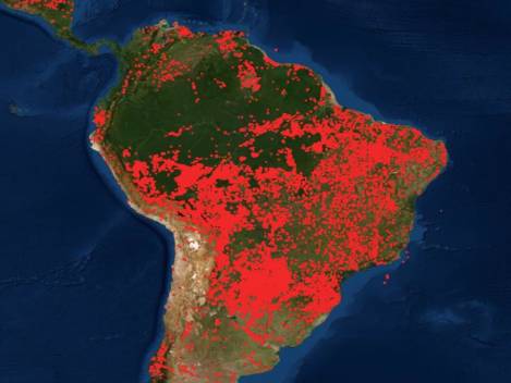 Suramérica acumula este 2024 el mayor número de incendios forestales