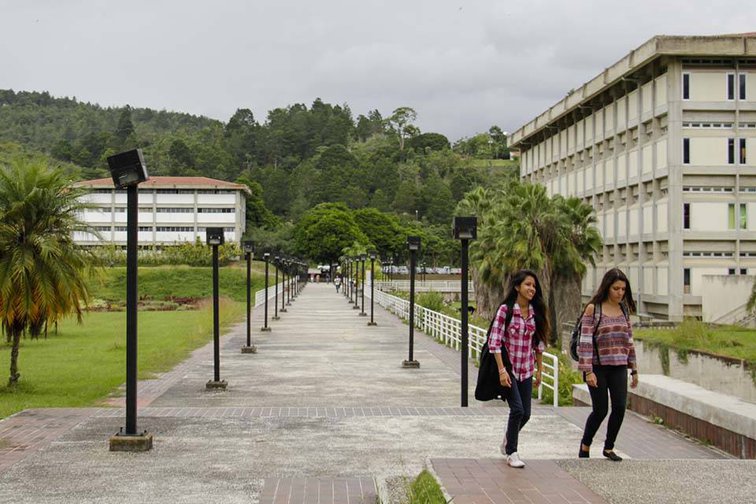 Aseguran que la matrícula estudiantil se redujo un 60 % en las universidades del país