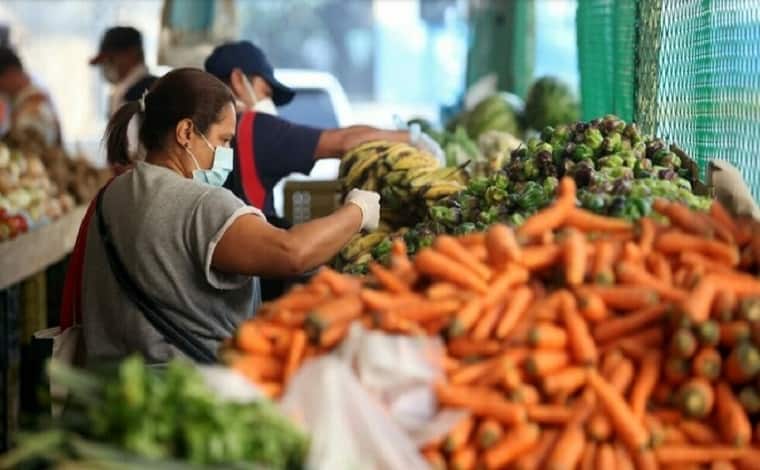 Índice de precios de los alimentos de 2024 estuvo un 2,1% por debajo de su promedio de 2023, según FAO