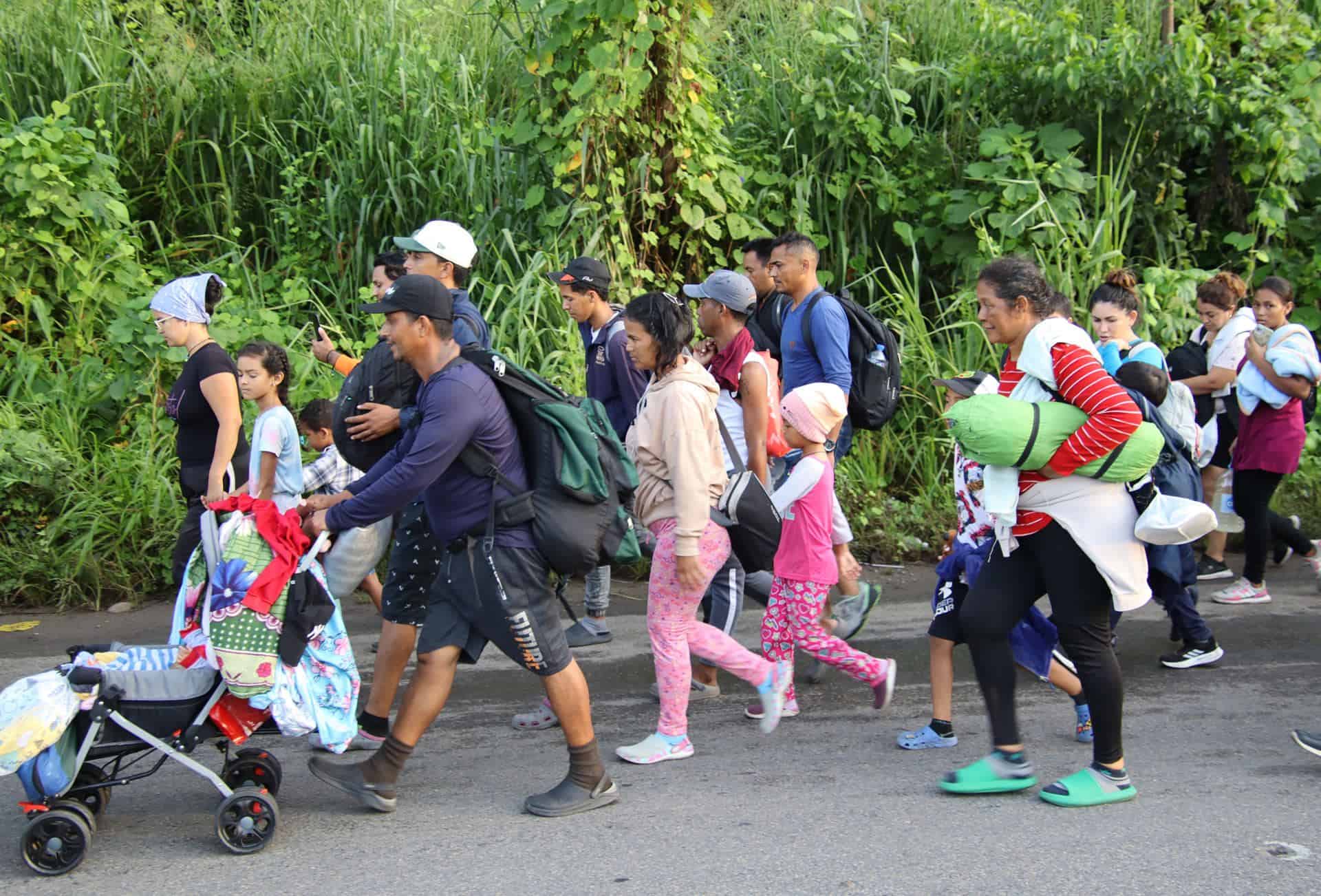 Peticiones de asilo en México caen casi a la mitad en los primeros nueve meses de 2024: Venezolanos ocupan el quinto lugar de solicitantes