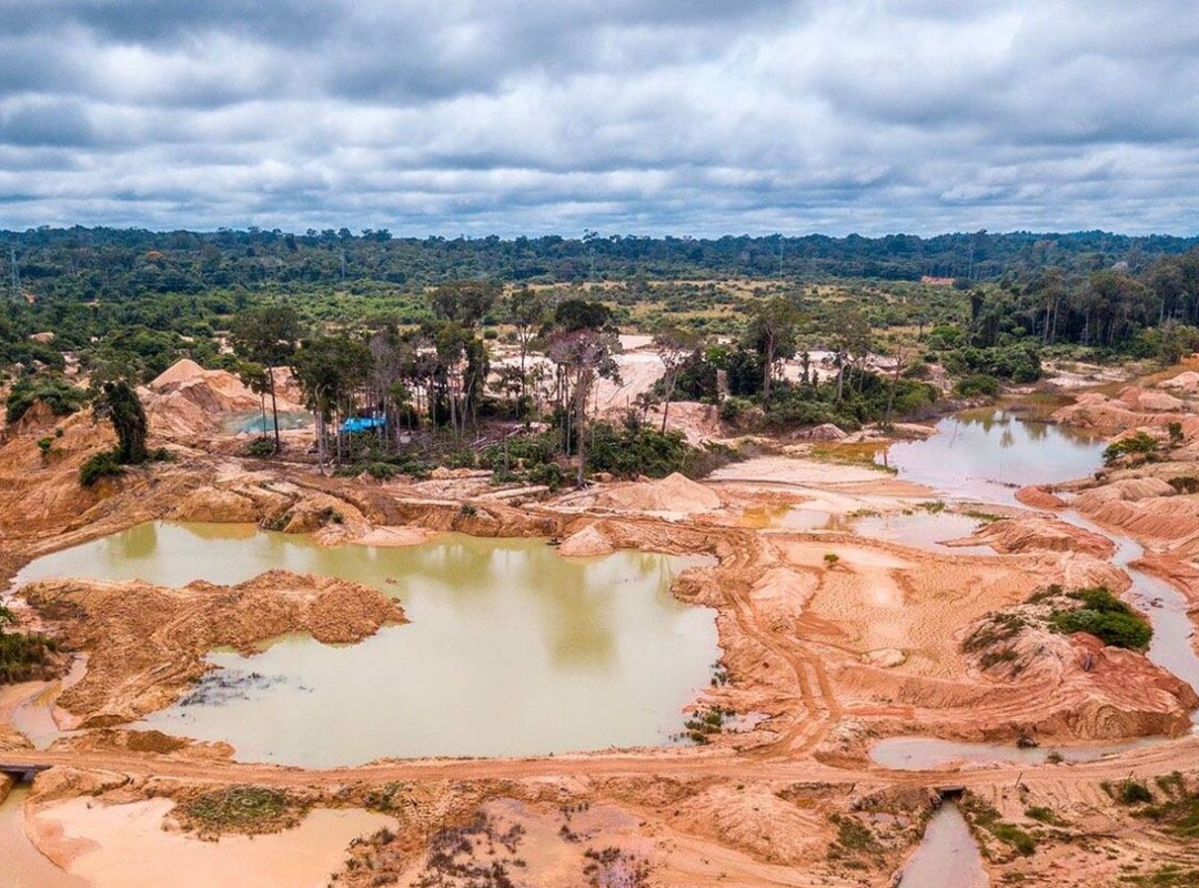 Amazonía venezolana azotada por violación de derechos humanos y pérdida de la biodiversidad, según oenegé SOS Orinoco