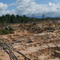 Inician plan de reforestación en el Arco Minero del Orinoco