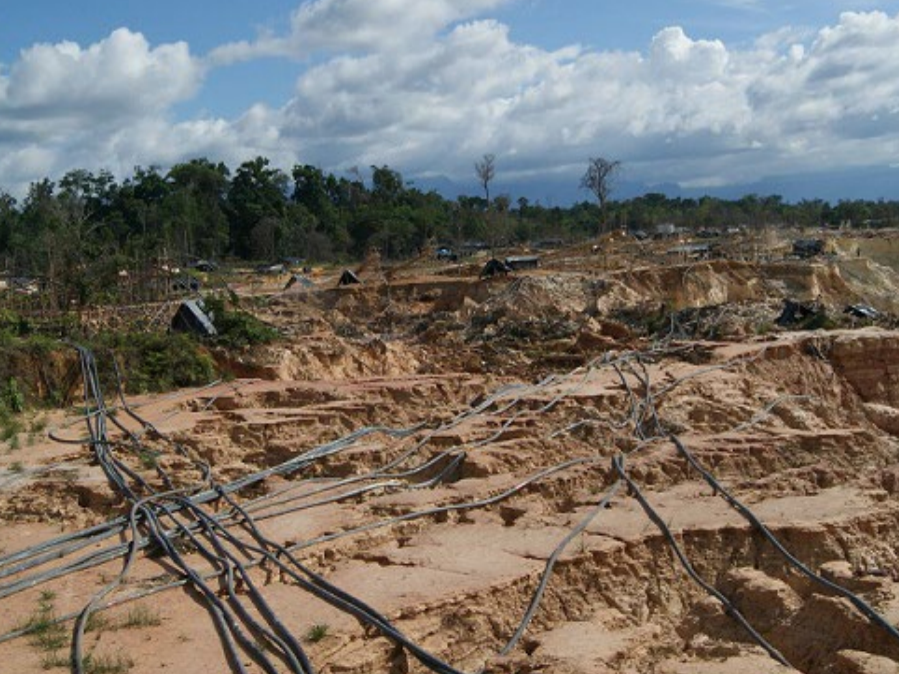 Inician plan de reforestación en el Arco Minero del Orinoco