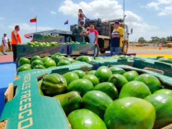 Exportadores venezolanos asumen elevados gastos para llegar a las islas ABC