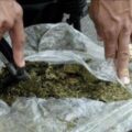 Incautan siete toneladas de marihuana en Colombia: El cargamento más grande de los últimos siete años