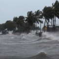 Funvisis afirma que en el país puede haber un Tsunami