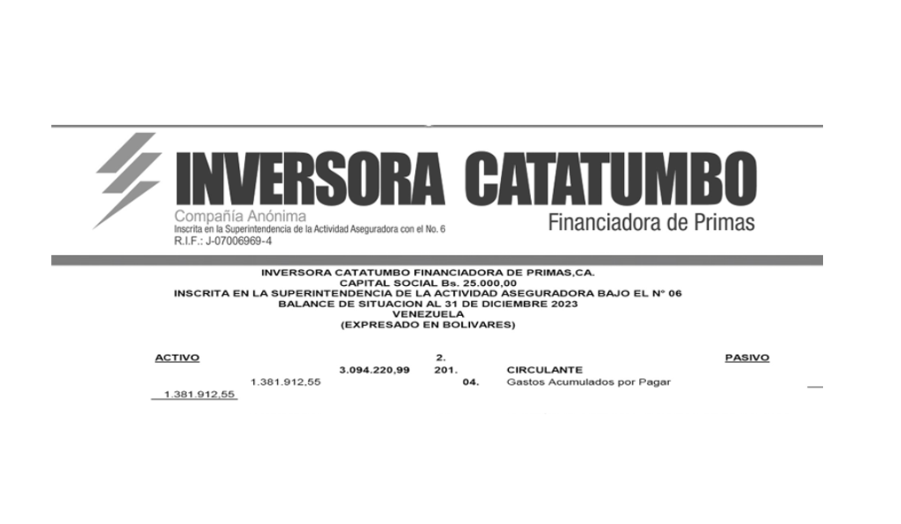 Inversora Catatumbo: Balance 2023