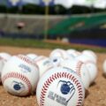 Tiburones de La Guaira y Leones del Caracas se verán las caras en un juego extra