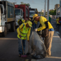 Mil 100 toneladas de desechos sólidos recolectó la Alcaldía de Maracaibo en este 1-Ene