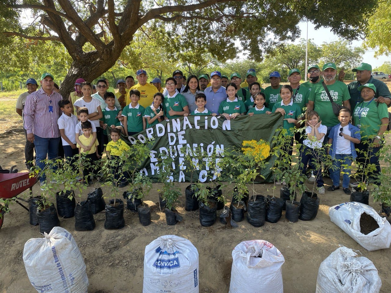 Gobernación del Zulia siembra 400 Curarires en Maracaibo