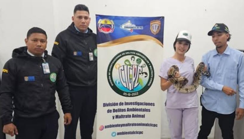 Rescatan a una tragavenado tras escaparse de su jaula en Caracas