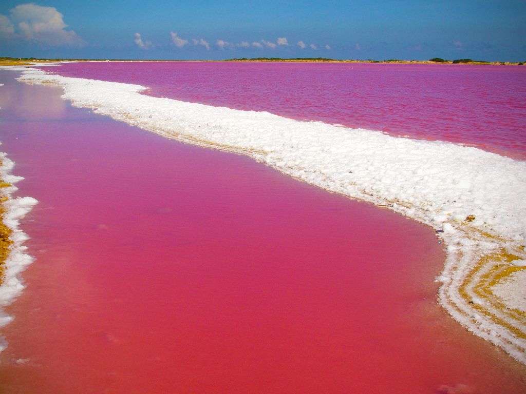 Las Salinas de Cumaraguas: Las aguas rosadas de Venezuela