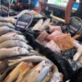 Venezuela come Pescado inicia en el Zulia con la distribución de 10 toneladas de productos del mar en 2025