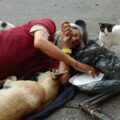 Dos gatos y una perra acompañan en la calle al payasito más triste del centro de Maracaibo