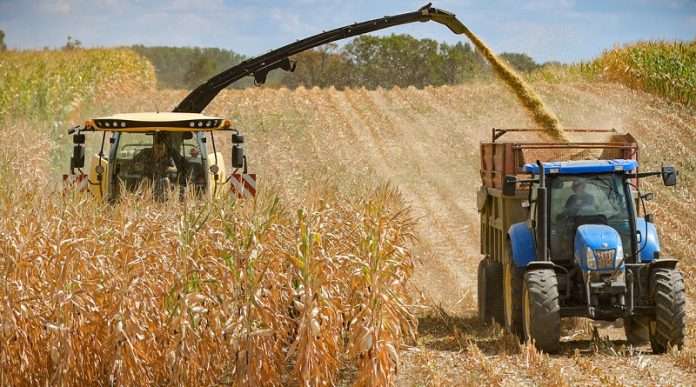 Plan productivo 2025 incrementará la producción agrícola