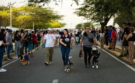 Más de 50 caninos modelaron en el desfile de Mascota este domingo 23-Feb en La Vereda del Lago