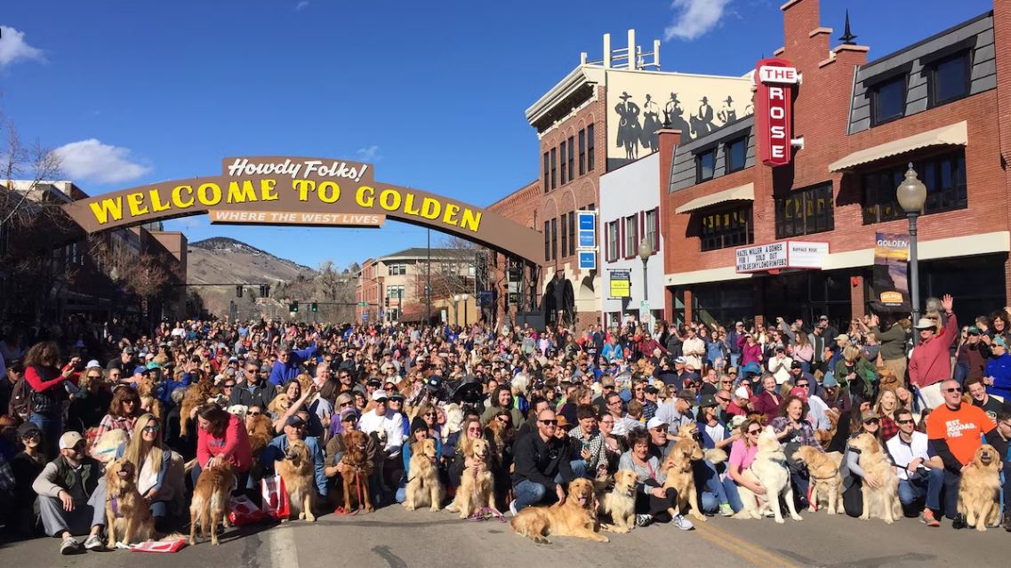 Goldens in Golden: La fiesta que reunió a cientos de retrievers con sus dueños en Colorado