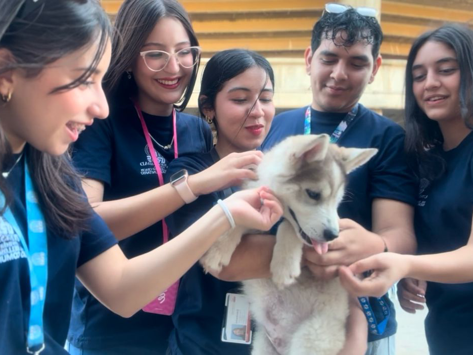 Estudiantes de URBE impulsan la concientización sobre los derechos animales en Maracaibo